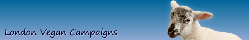 Vegan Campaigns banner