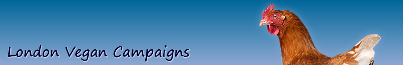 Vegan Campaigns banner